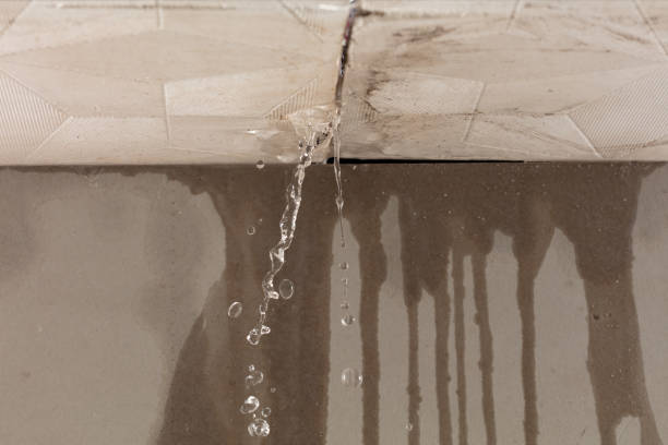Professional Water Extraction technician working in Wadsworth, TX